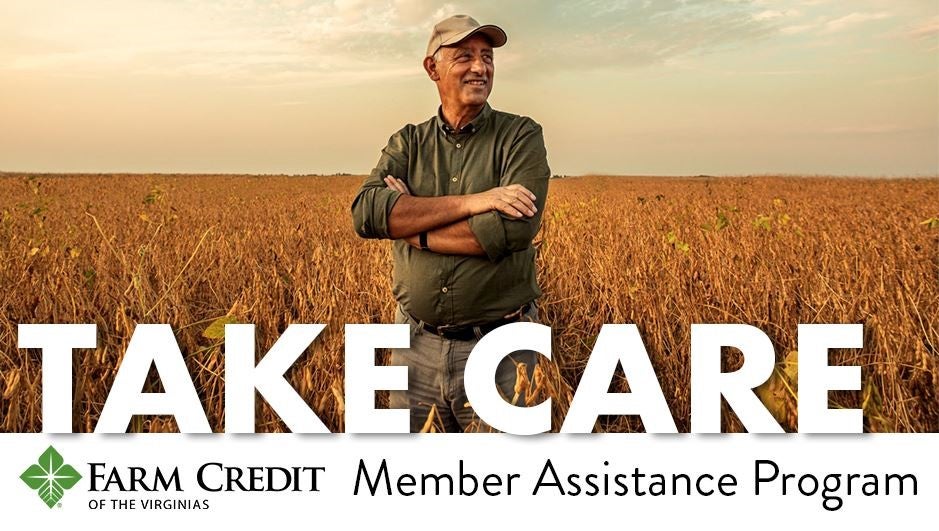 cash advance loan service